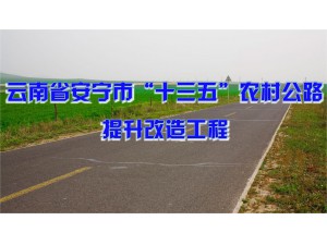 云南省安宁市“十三...