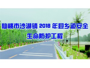 仙桃市沙湖镇201...